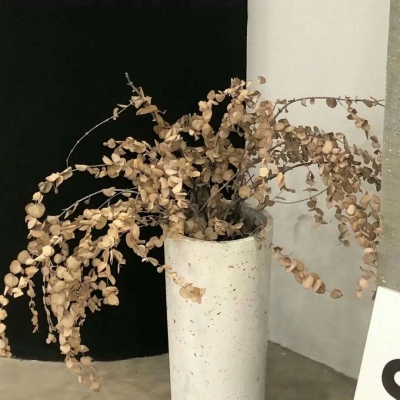 兽设山谷场景设计兽圈社群